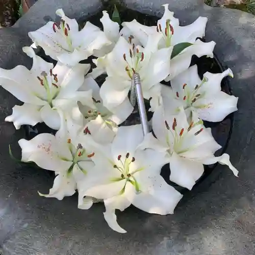 常覺寺の手水舎