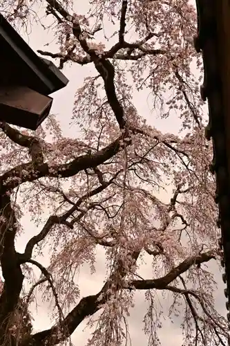 法蓮寺(愛媛県)