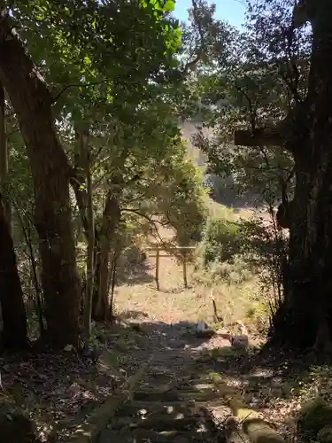 神社(名称不明)の鳥居