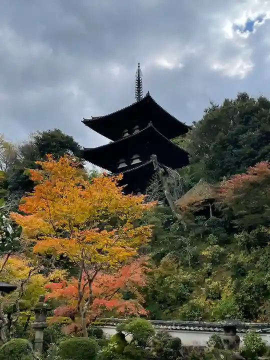 當麻寺中之坊(奈良県)