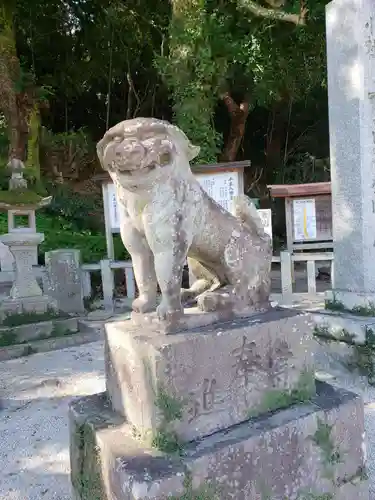 千栗八幡宮の狛犬