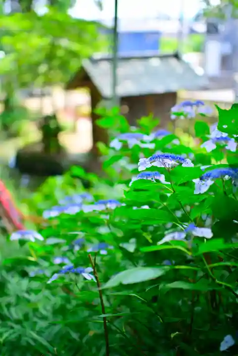 谷保天満宮(東京都)
