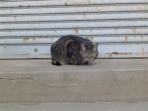 香取神社の動物