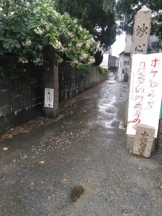 小松寺の建物その他