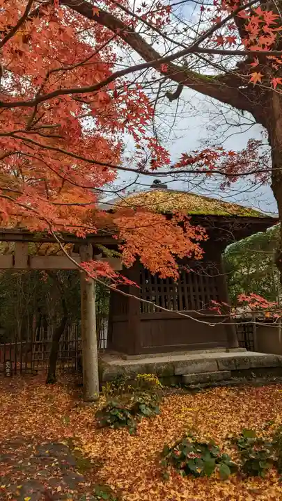 蓮華寺(洛北蓮華寺)(京都府)