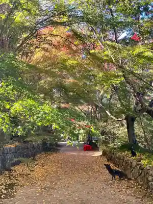 国宝 長寿寺(滋賀県)