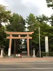 琴似神社の鳥居