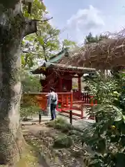 鶴岡八幡宮(神奈川県)