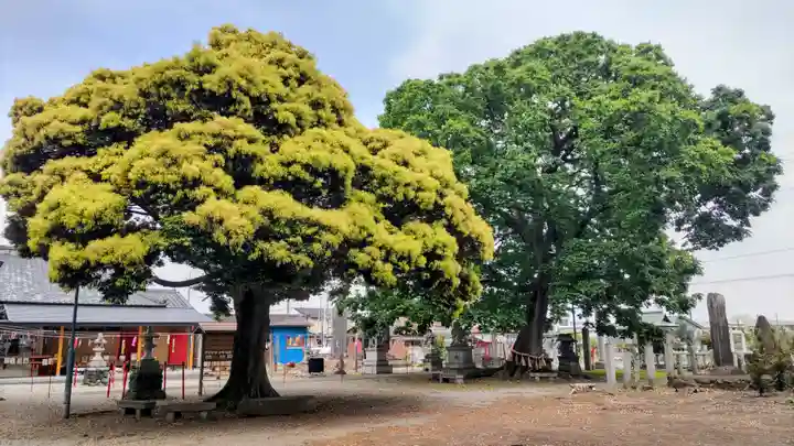 島田八坂神社(栃木県)