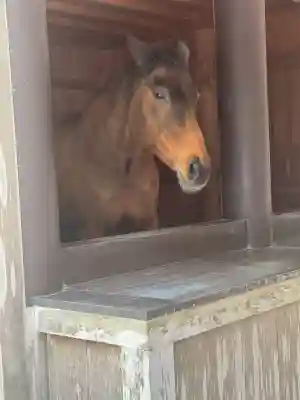 伊勢神宮内宮（皇大神宮）(三重県)