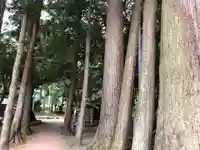 静志神社の自然