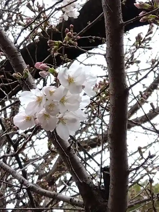式内楯原神社(大阪府)