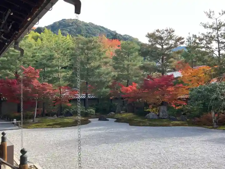 高台寺(高台寿聖禅寺・高臺寺)(京都府)
