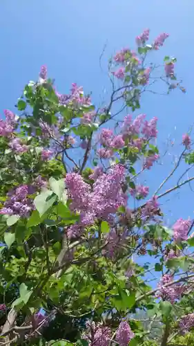 相馬神社(北海道)