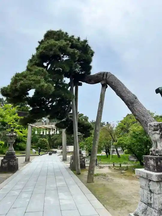 白山神社(新潟県)