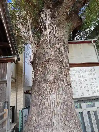 菰江村社(大阪府)