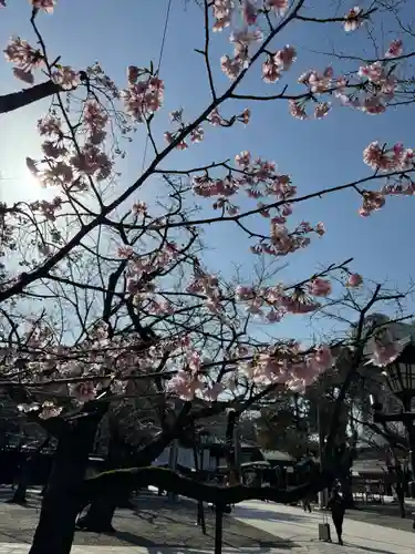 靖國神社(東京都)