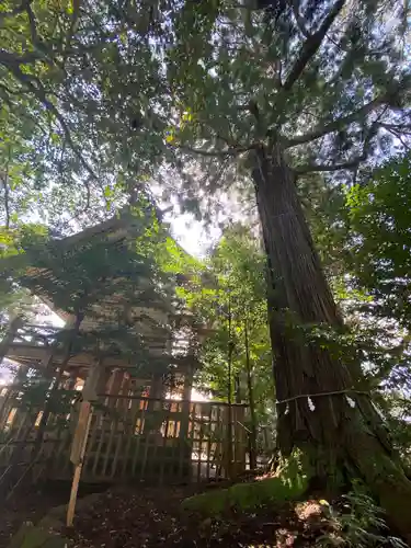 須佐神社(島根県)