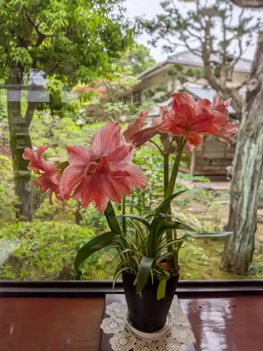 妙法寺(東京都)