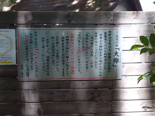 鎮守氷川神社の歴史