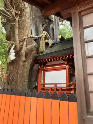 楠珺社（住吉大社末社）(大阪府)