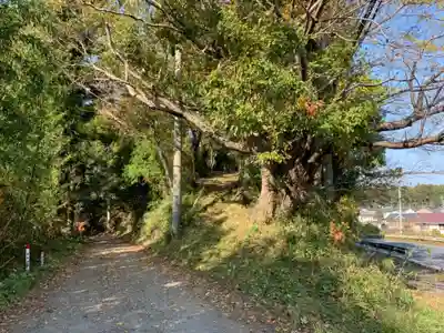 山の神(千葉県)
