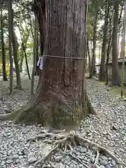 多田神社(兵庫県)