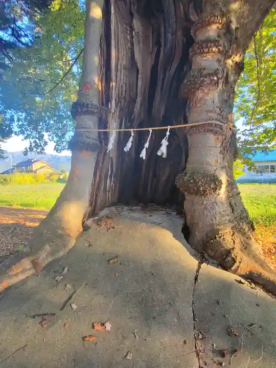 東福寺神社(長野県)