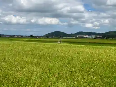 八幡神社(滋賀県)