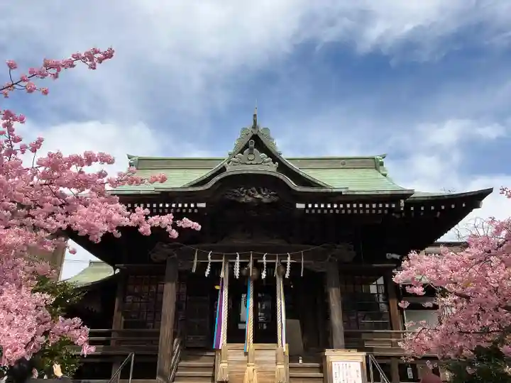 桜神宮の本殿・本堂
