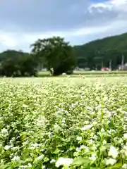 仁科神社(長野県)