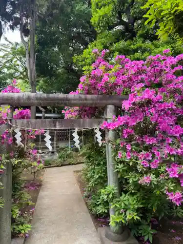 鳩森八幡神社の{uncategorized: "未分類", other: "その他", undefined: "問題あり", building: "その他建物", grave: "お墓", sacred_gate: "鳥居", guardian: "狛犬", statue: "像", buddha: "仏像", history: "歴史", nature: "自然", garden: "庭園", animal: "動物", pagoda: "塔", temizu: "手水舎", mountain_gate: "山門・神門", sanctuary: "本殿・本堂", subordinate: "末社・摂社", art: "芸術", scenery: "景色", jizo: "地蔵", ema: "絵馬", goshuin: "御朱印", omikuji: "おみくじ", items: "授与品その他", amulet: "お守り", goshuincho: "御朱印帳", eats: "食事", festival: "お祭り", votive_dance: "神楽", shichigosan: "七五三参", wedding: "結婚式", experience: "体験その他", initially: "初詣", around: "周辺", anti_infection: "感染症対策"}