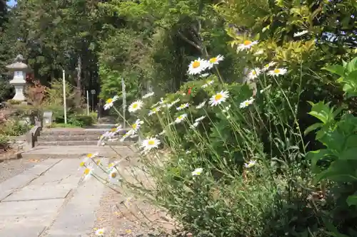 豊景神社の景色