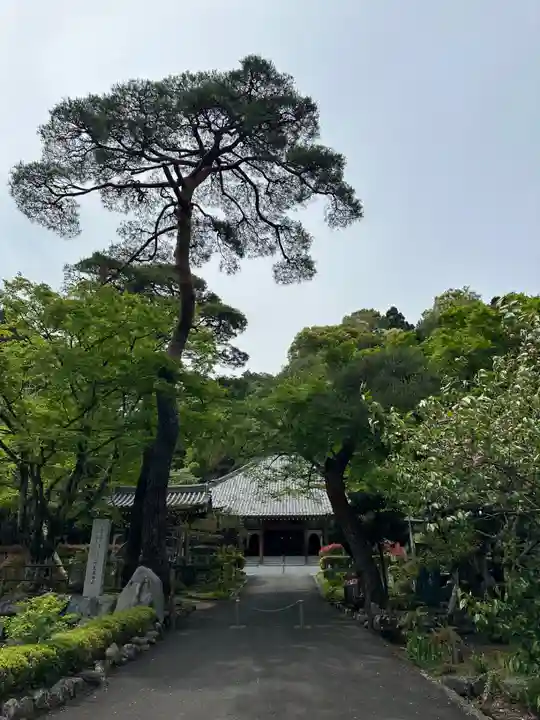 高乗寺(東京都)