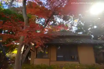 本土寺(千葉県)