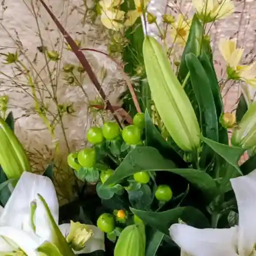 彌彦神社　(伊夜日子神社)(北海道)