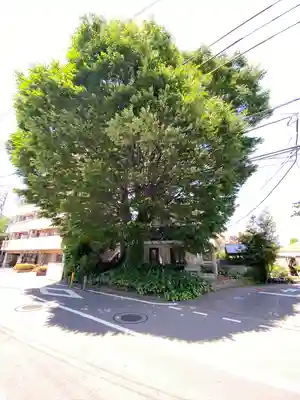 小野神社(東京都)