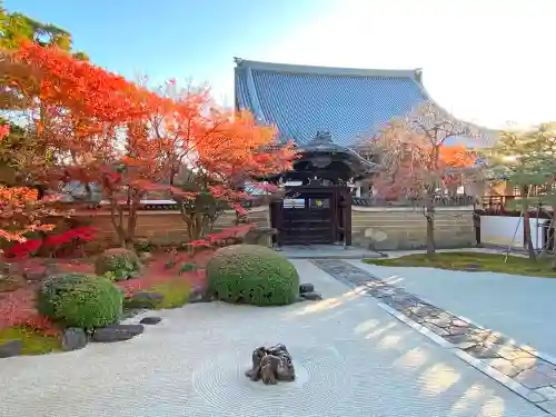 妙顯寺（妙顕寺）の庭園