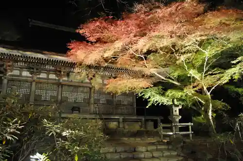 室生寺の鳥居