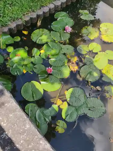 満願寺(栃木県)
