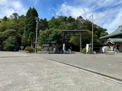 千歳神社の鳥居