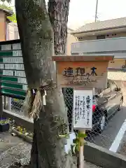 蝮ヶ池八幡宮の自然