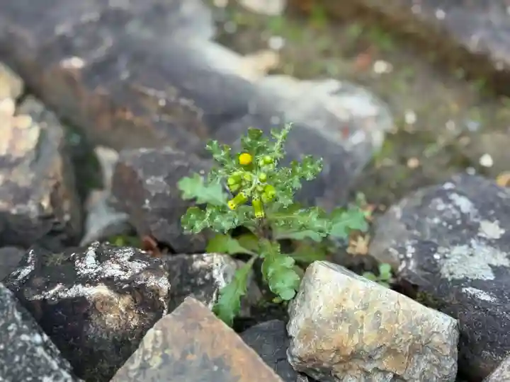 西方山極楽寺(岐阜県)