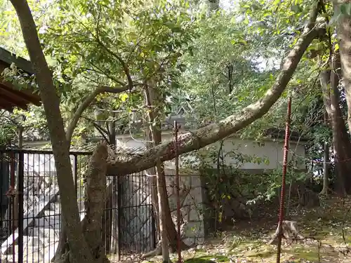 天照御魂神社のその他建物