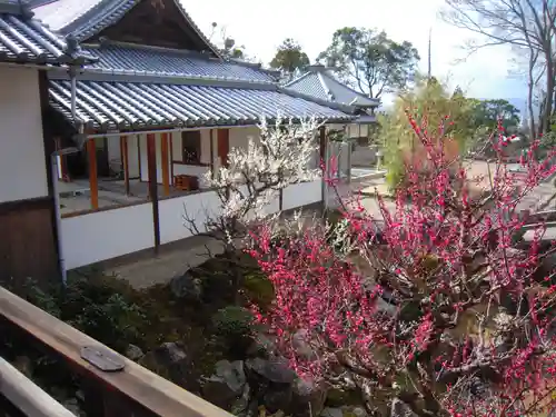 興聖寺（興聖寶林禅寺）の庭園