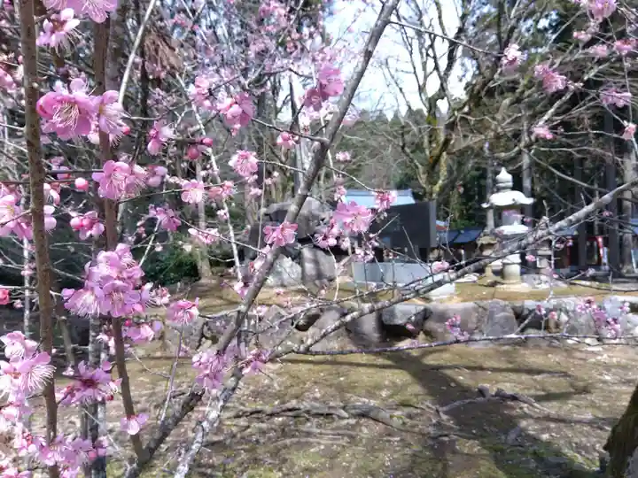 賀茂神社(福井県)