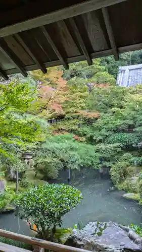 禅林寺（永観堂）(京都府)