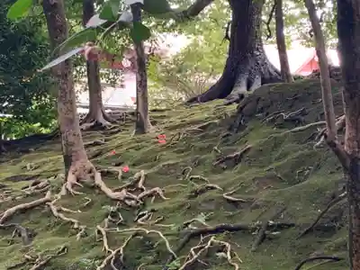 城南宮(京都府)