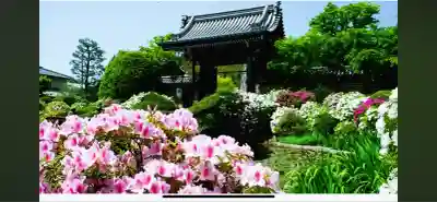 妙満寺(京都府)