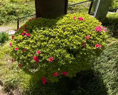 国宝 大法寺(長野県)